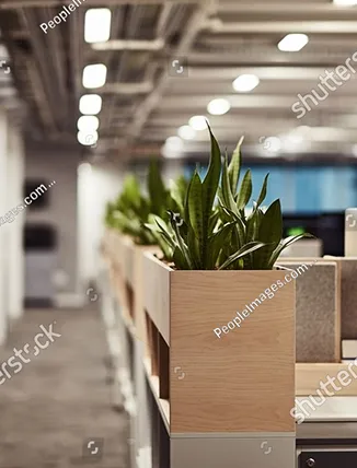 support-job-creation