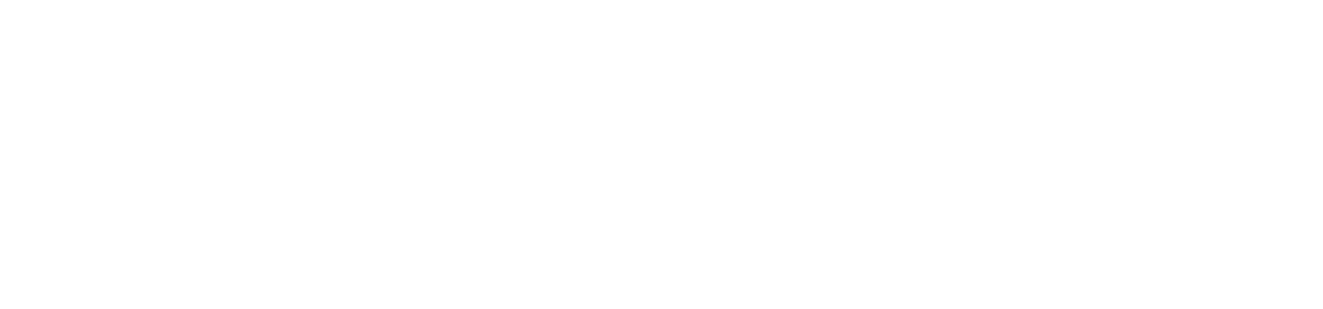 ruya-partners-white logo