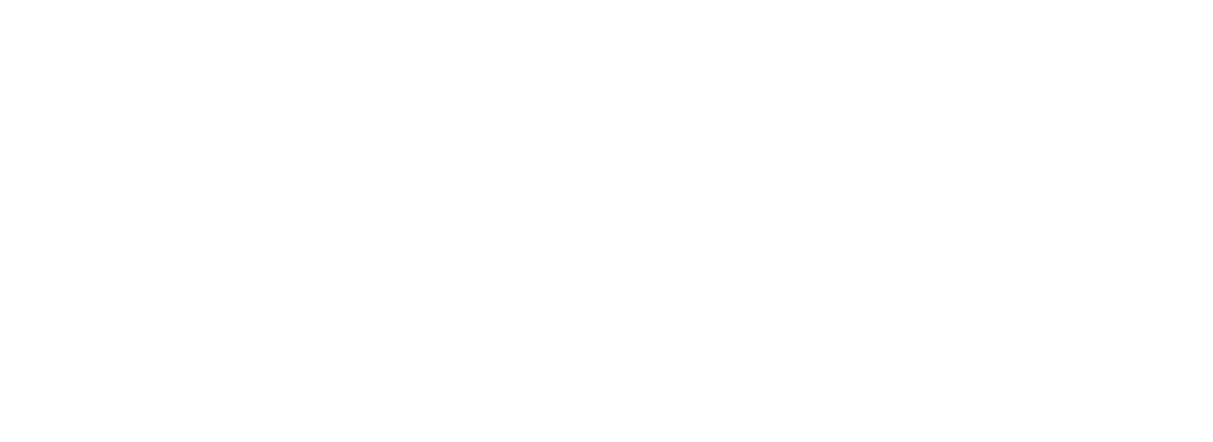 vision-ventures-white-logo